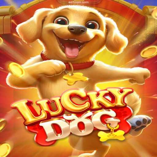Discover the Thrilling World of LuckyDog: A Comprehensive Guide