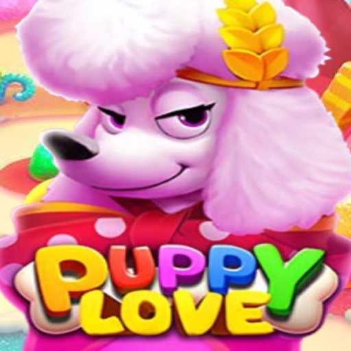 Exploring the Features and Rules of PuppyLove